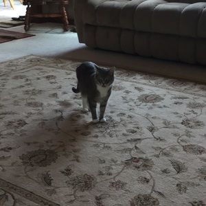 Meet your Posher, Laura